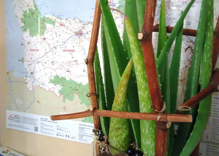 Des Quatrans 3* Καν